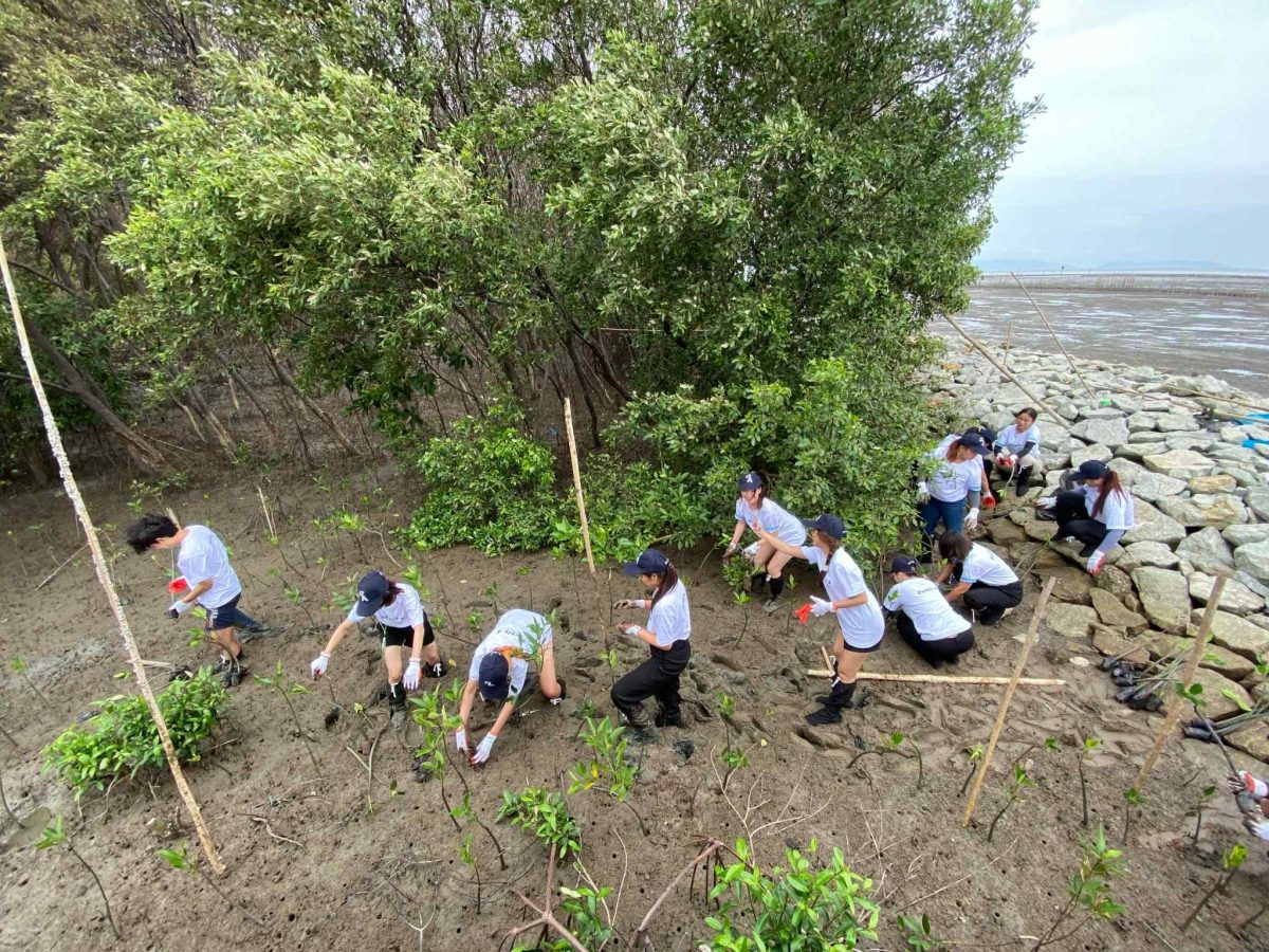 ดั๊บเบิ้ล เอ ปลูกป่าชายเลน มุ่งสู่ Net Zero ลดโลกร้อน