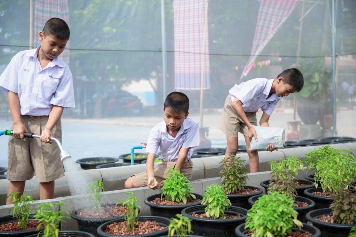 มูลนิธิ เมเจอร์ แคร์ จับมือ เมล็ดพันธุ์ตราศรแดง หนุนการเรียนรู้นอกห้องเรียน สอนปลูกผักปลอดสารพิษ พร้อมมอบโรงเรือนปลูกผัก โครงการปลูกผัก สร้างสุข สร้างรายได้ ให้กับน้อง ๆ โรงเรียนบ้านด่านเกวียน อ.โชคชัย จ.นครราชสีมา