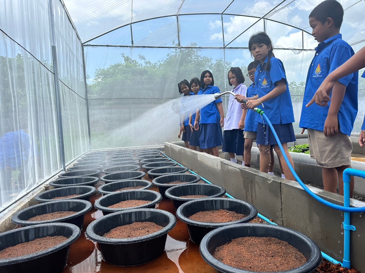 เมล็ดพันธุ์ตราศรแดง จับมือ มูลนิธิเมเจอร์แคร์ ใน โครงการปลูกผัก สร้างสุข สร้างรายได้ หนุนนักเรียนเรียนรู้การปลูกผักปลอดสารพิษ ฝึกทักษะต่อยอดสร้างอาชีพ