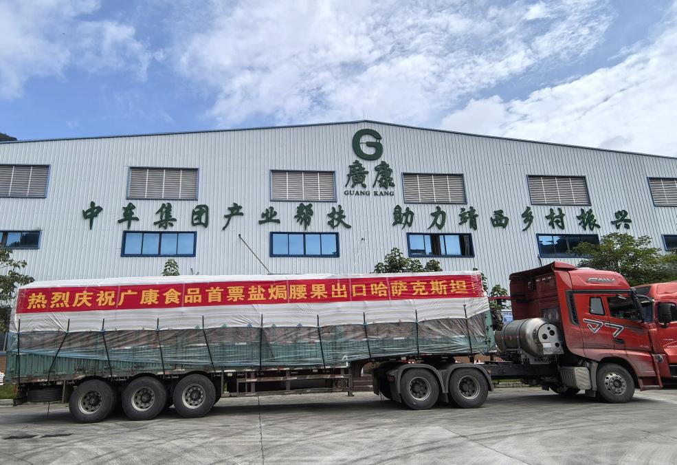 The Processing Industry in Jingxi City, Guangxi Promoted to Drive Local Economic Growth