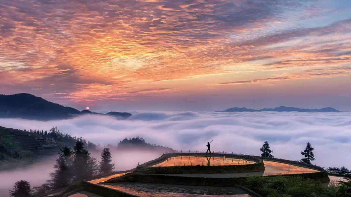 The Second From Ziquejie Terraces To The World Global Farming Culture Exchange and Mutual Learning Conference Held in Xinhua County, Hunan Province