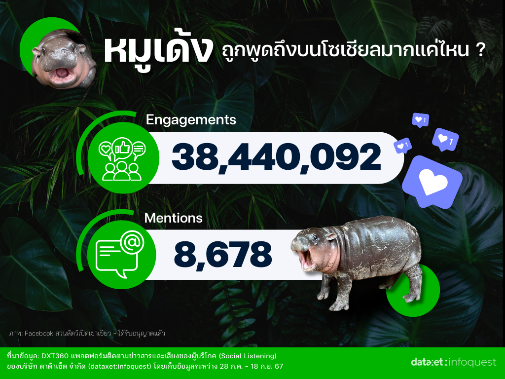 หมูเด้ง เด้งยังไงให้ดังเว่อร์! ถอดรหัส Social Media Marketing