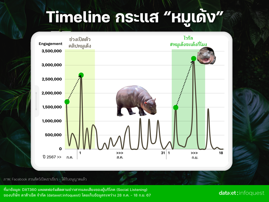 หมูเด้ง เด้งยังไงให้ดังเว่อร์! ถอดรหัส Social Media Marketing