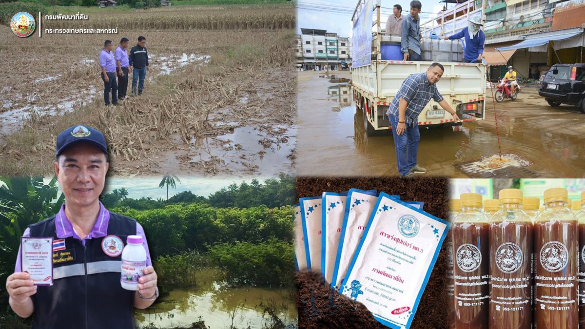 กรมพัฒนาที่ดิน เร่งช่วยเหลือเกษตรกร ฟื้นฟูสภาพดินหลังน้ำลด