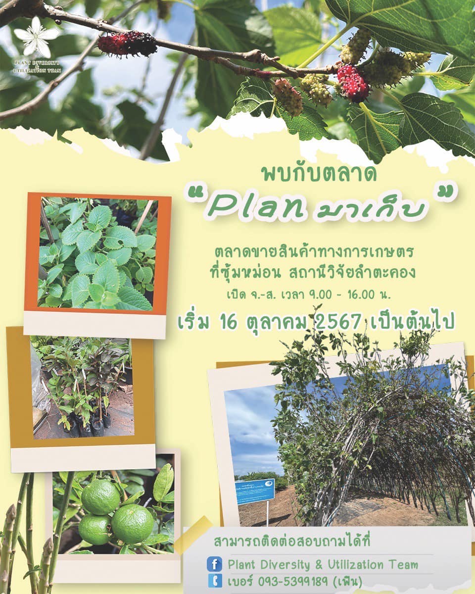 วว. ชวนเที่ยวตลาด Plan มาเก็บ ณ สถานีวิจัยลำตะคอง นครราชสีมา