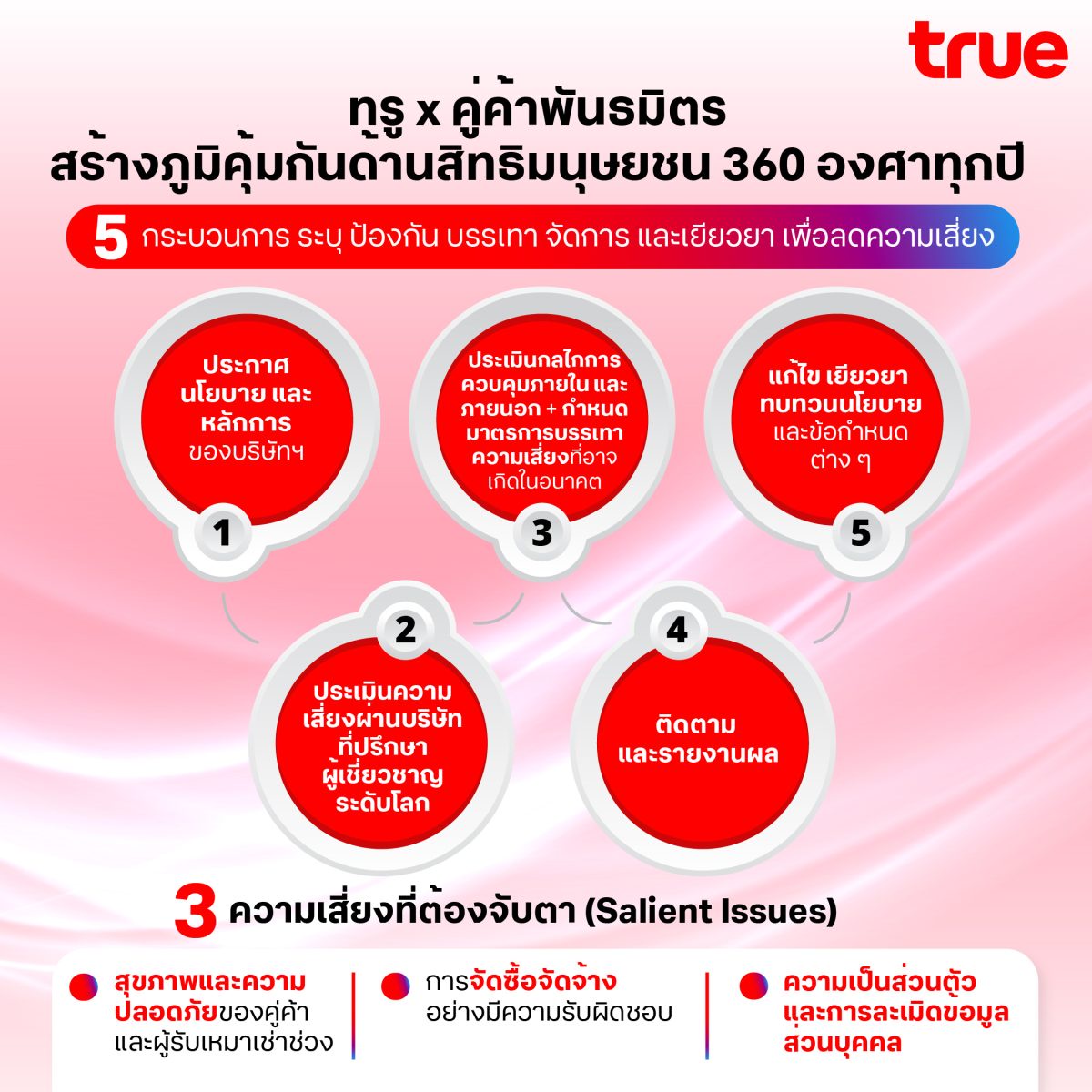 True Corporation Proactively Implements 360-Degree Human Rights Assessments, Elevating Partners and Suppliers to International Business Standards