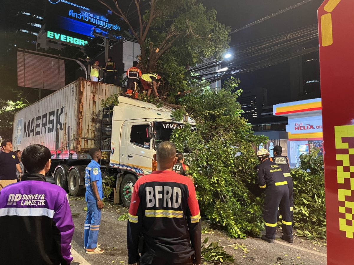 กทม. ตรวจสอบความแข็งแรงของต้นไม้ใหญ่ พร้อมรับสถานการณ์พายุฝนฟ้าคะนอง