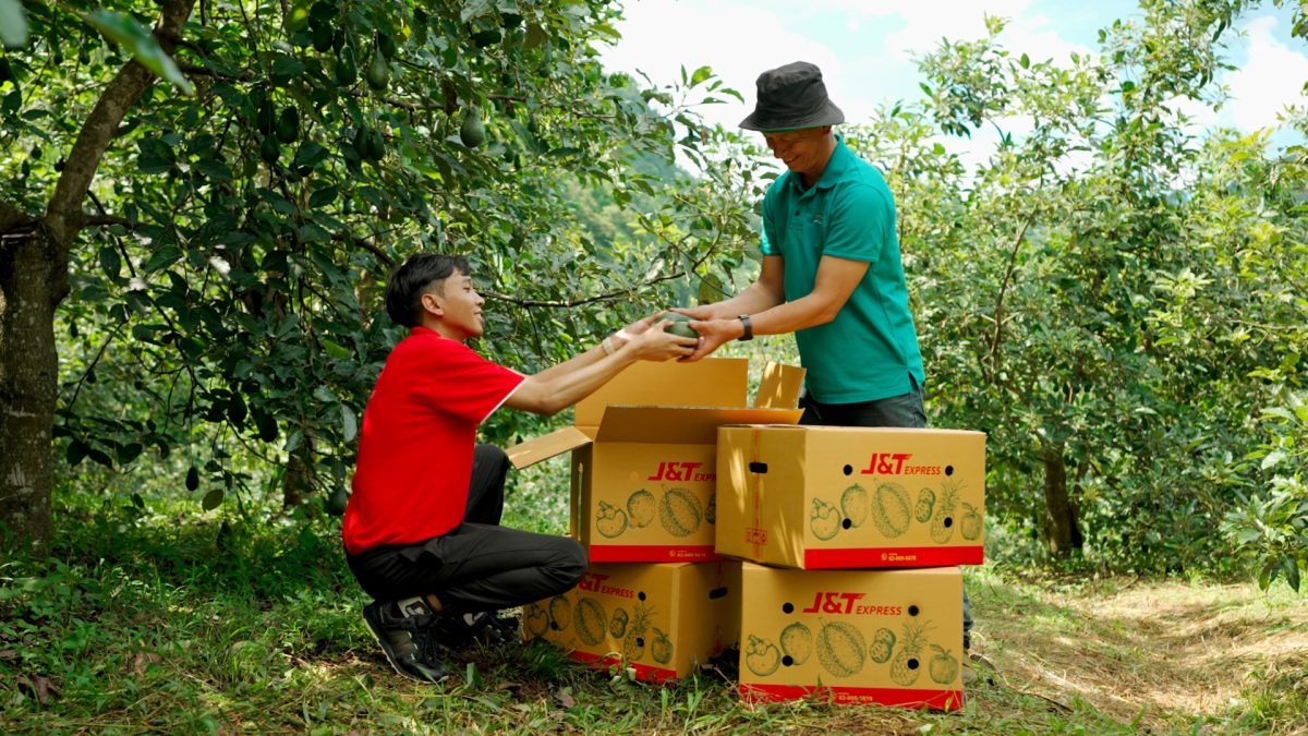 JT Fruit Parcels: Delivering Happiness and Smiles to Farmers in Chiang Mai Province