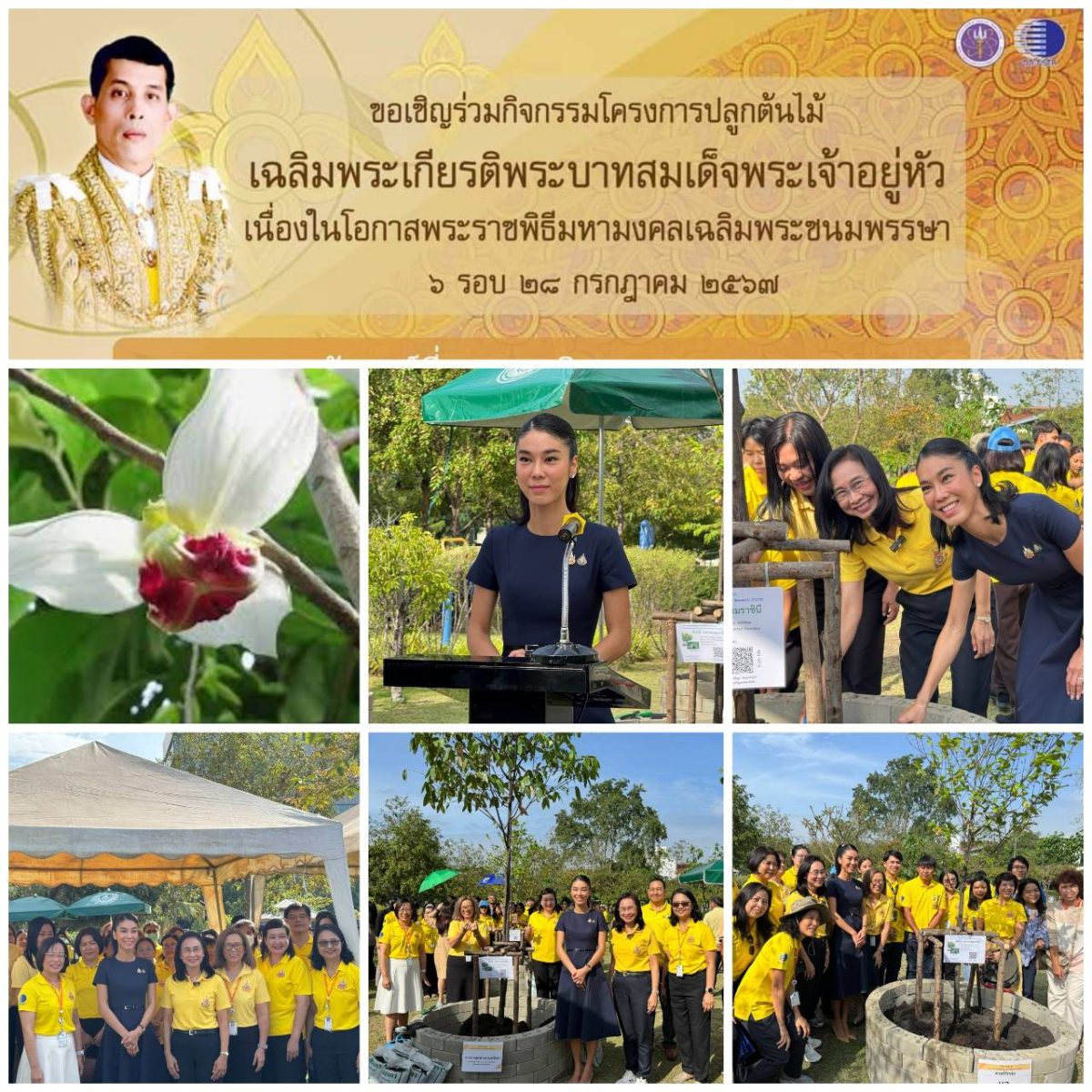 วว. จัดกิจกรรม โครงการปลูกต้นไม้ เฉลิมพระเกียรติพระบาทสมเด็จพระเจ้าอยู่หัว เนื่องในโอกาสพระราชพิธีมหามงคลเฉลิมพระชนมพรรษา 6 รอบ 28 กรกฎาคม 2567