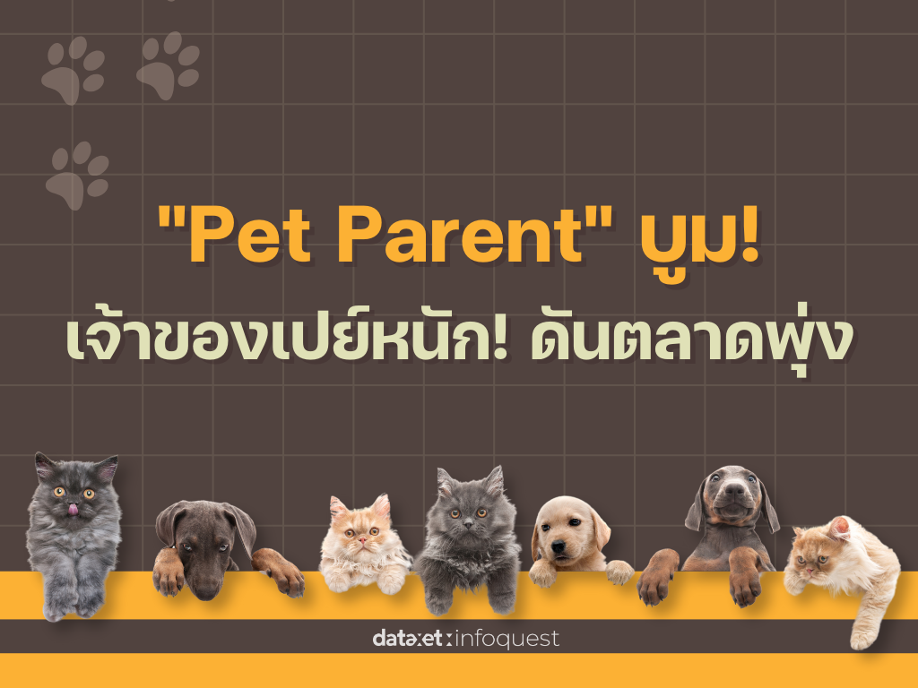 Pet Parent บูม! เจ้าของเปย์หนัก! ดันตลาดสัตว์เลี้ยงพุ่ง