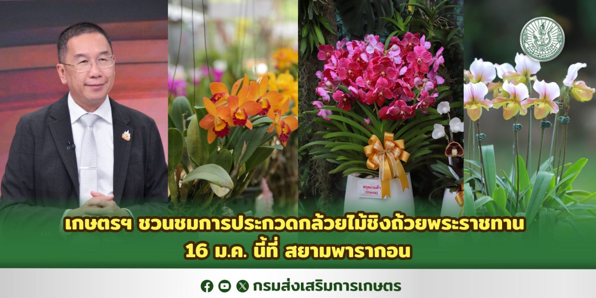 เกษตรฯ ชวนชมการประกวดกล้วยไม้ชิงถ้วยพระราชทาน 16 ม.ค. นี้ที่ สยามพารากอน