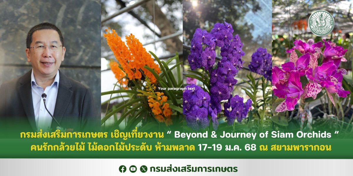 กรมส่งเสริมการเกษตร เชิญเที่ยวงาน Beyond Journey of Siam Orchids คนรักกล้วยไม้ ไม้ดอกไม้ประดับ ห้ามพลาด 17-19 ม.ค. 68 ณ