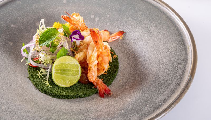 Discover the Superfood Sensation Fresh Wolffia and Prawn Salad at Plate Restaurant