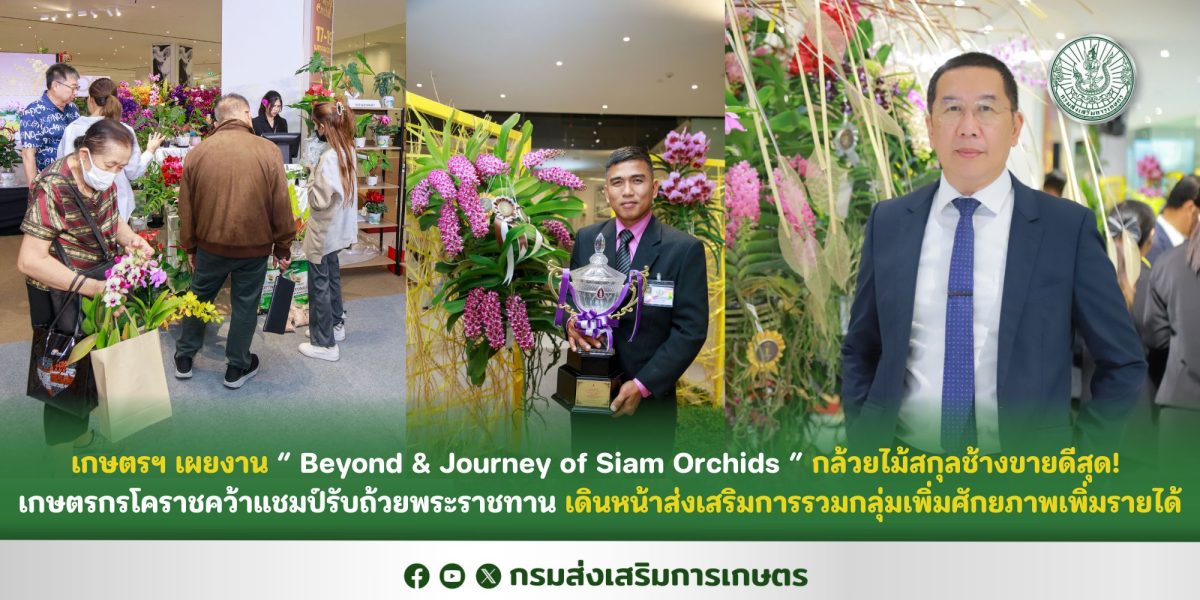 เกษตรฯ เผยงาน Beyond Journey of Siam Orchids กล้วยไม้สกุลช้างขายดีสุด! เกษตรกรโคราชคว้าแชมป์รับถ้วยพระราชทาน เดินหน้าส่งเสริมการรวมกลุ่มเพิ่มศักยภาพเพิ่มรายได้