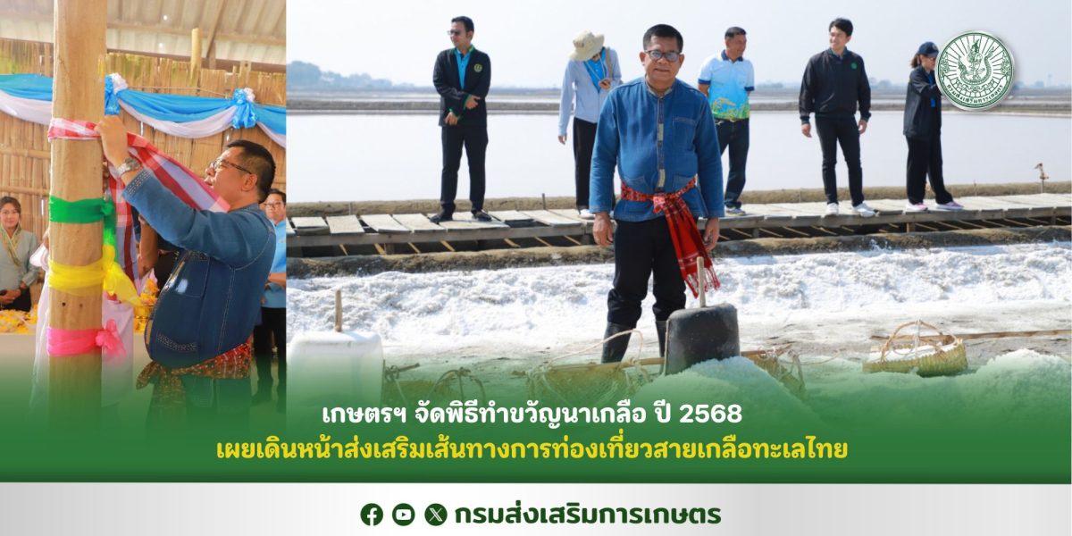 เกษตรฯ จัดพิธีทำขวัญนาเกลือ ปี 2568 เผยเดินหน้าส่งเสริมเส้นทางการท่องเที่ยวสายเกลือทะเลไทย