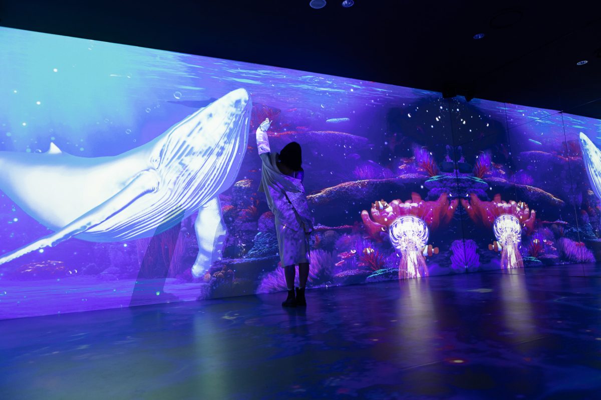 New Bangkok Landmark! King Power Mahanakhon Unveils Mahanakhon SkyVerse Featuring Mahanakhon Oasis, the World's First-Ever Immersive Digital Zoo in the City