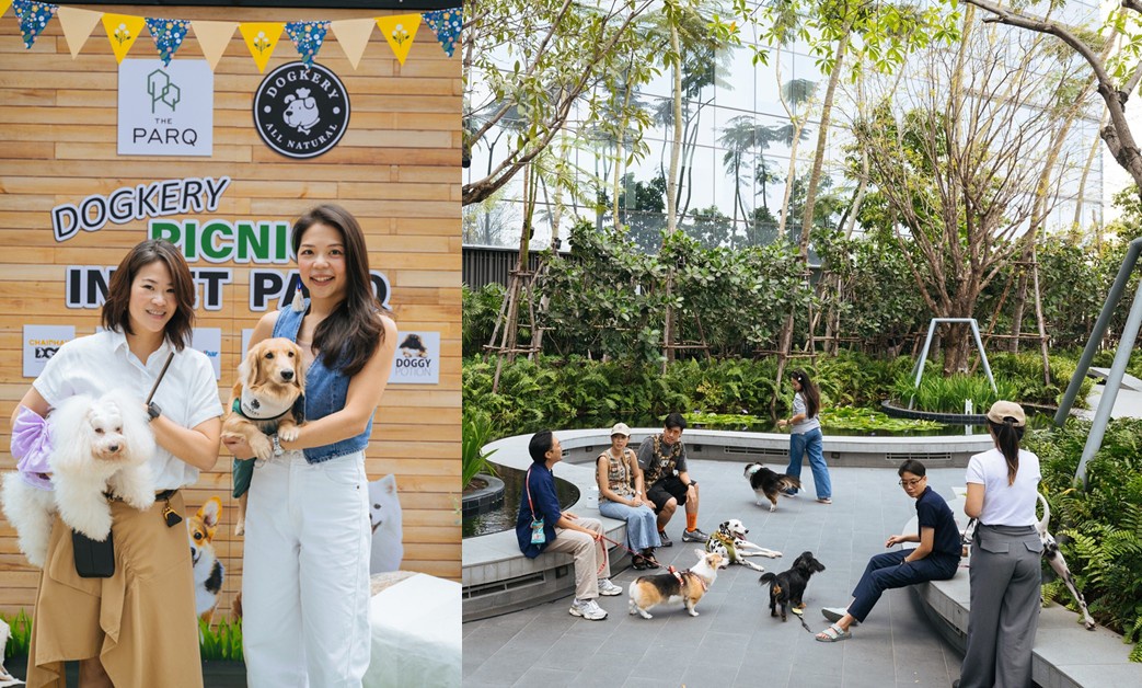 Dogkery Picnic in PET PARQ - A celebration of wellness for pet families at The PARQ