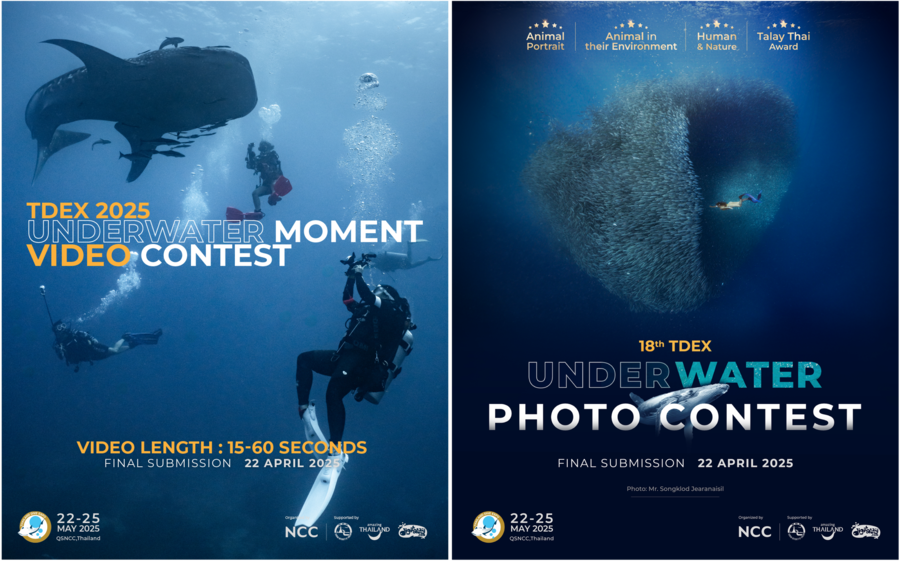 เปิดเลนส์สู่โลกใต้ทะเล ในกิจกรรมประกวดภาพถ่าย 18th TDEX UNDERWATER PHOTO 2nd TDEX UNDERWATER MOMENT VIDEO CONTEST! ชิงรางวัลกว่า 400,000 บาท