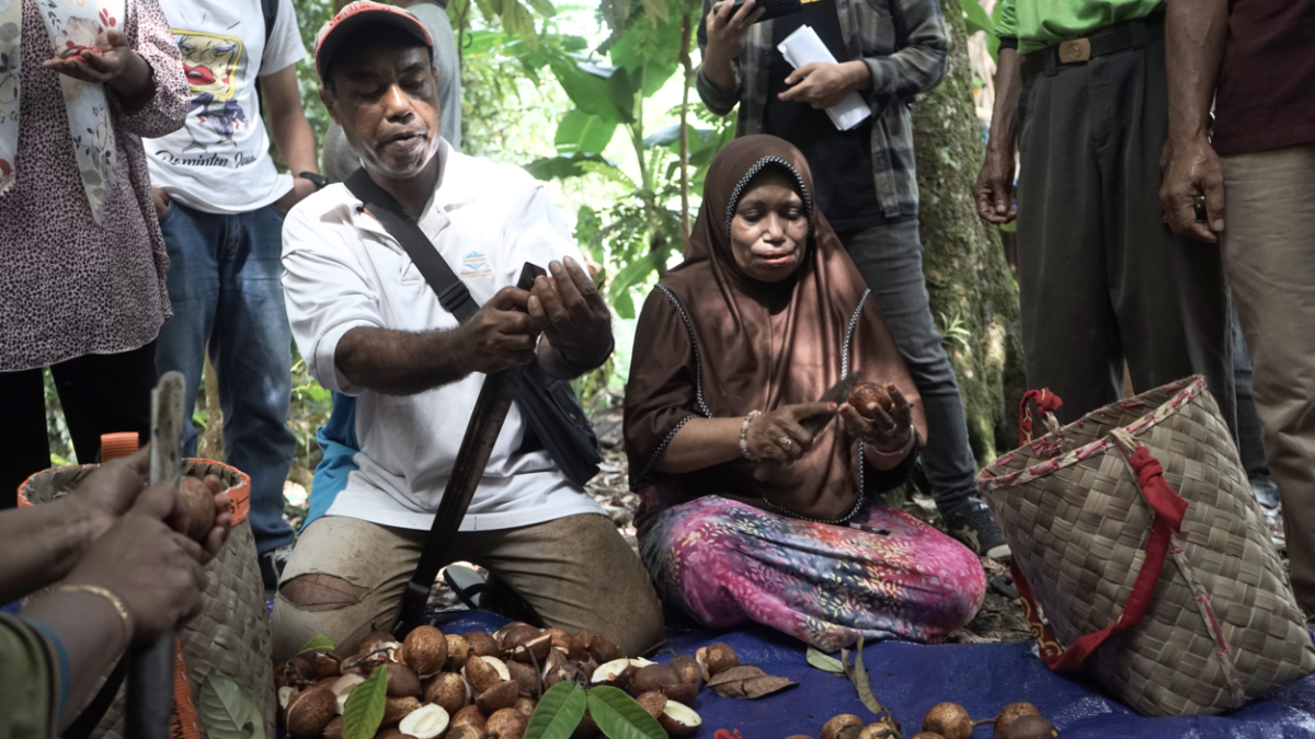 The Role of Papuan Women in Preserving the Environment Through Nutmeg Management: Lessons from Indonesia