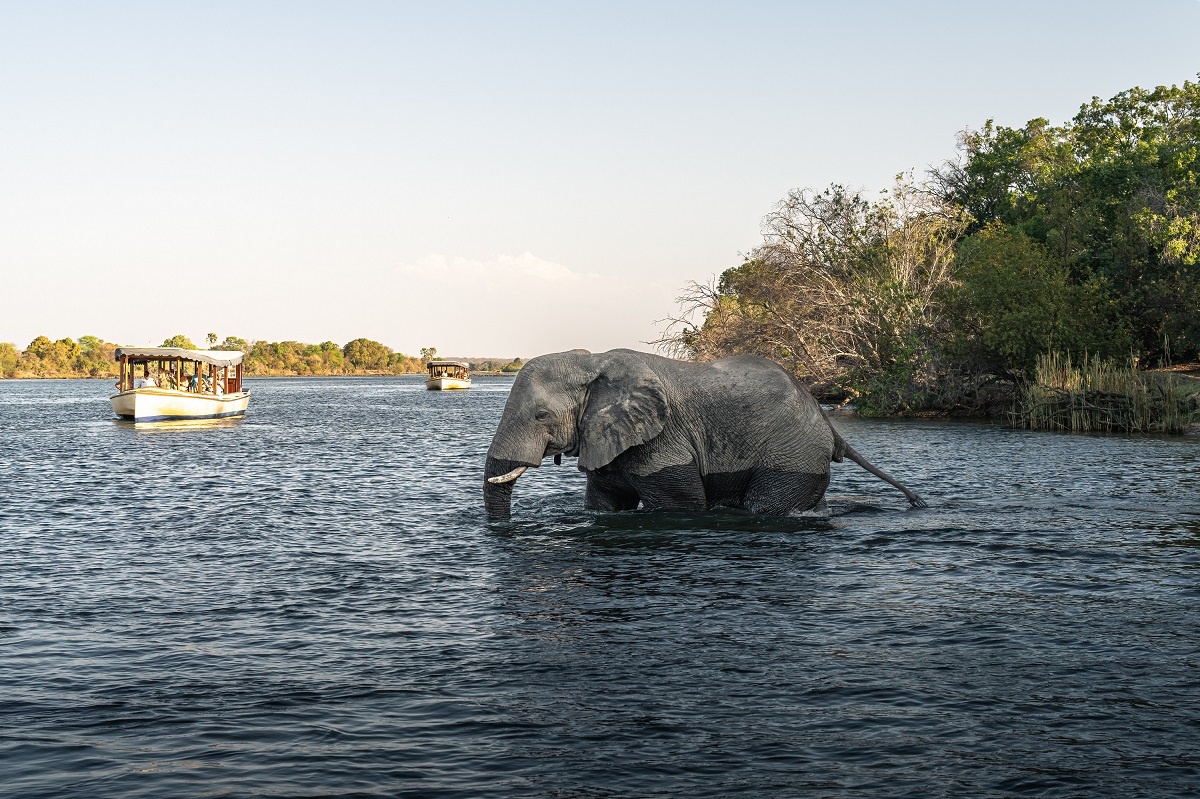 Discover the Hidden Wonders of Victoria Falls During the Seasons Less Travelled